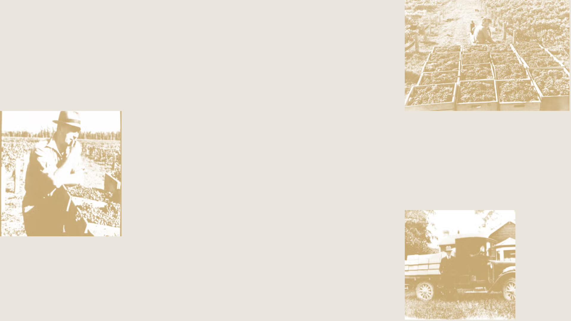Church Road Background Image History